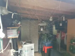 Annelies 05 Verboden toegang